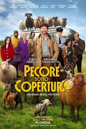Pecore sotto copertura